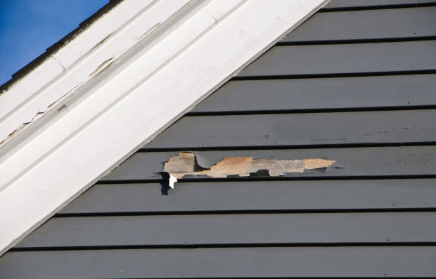 Demolition Debris Removal in Brogden, NC